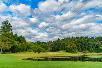 Electricity power lines in nature landscape. Green nature energy. Landscape of electric voltage station. High voltage. Electricity pylon. Nature summer environment. Electricity tower