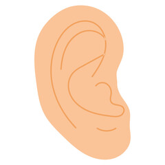 human ear illustrations 