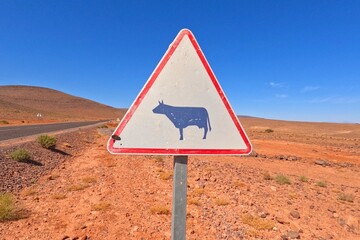 Warning Cow Crossing Road Sign