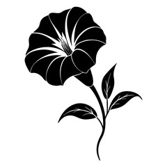 create a morning glory silhouette clean design vector illustration 