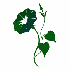 create a morning glory silhouette clean design vector illustration 