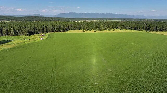 drone view of abandoned buildings