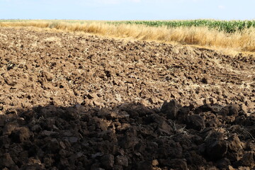 Rural landscape in northern Israel.