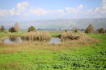 Rural landscape in northern Israel.