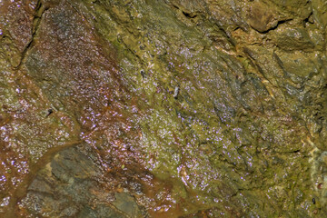colorful rock bathed by water and sun