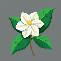 flower vector 