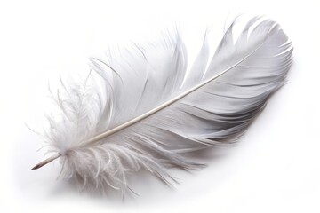 Obraz premium A delicate white feather isolated on a white background, symbolizing purity, lightness, freedom, peace, and tranquility.