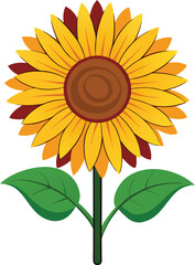 flower vector 