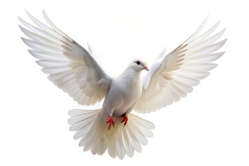 A white dove with outstretched wings, symbolizing peace, hope, purity, freedom, and spirituality.