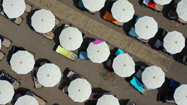 Diagonal flight of a drone over white beach umbrellas on a sunny day