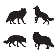 black silhouette gray wolf set vector 