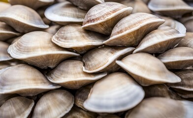 Cherrystone clams are small sweet and tender shellfish with a briny flavor, often enjoyed raw on the half shell steamed or in clam dishes.