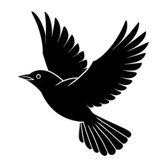 Blackbird flying  vector silhouette illustration with white background 