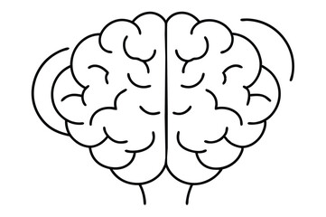 Brain line illustration mind vector 