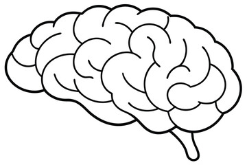 Brain line illustration mind vector 