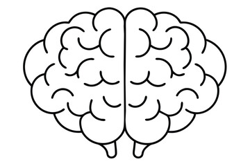 Brain line illustration mind vector 