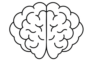 Brain line illustration mind vector 