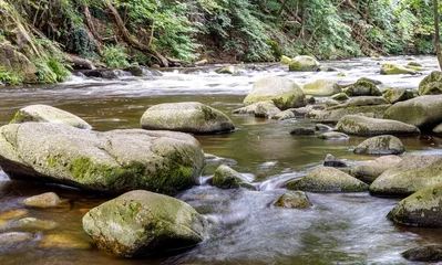The wild river Bode in the Harz nature reserve 