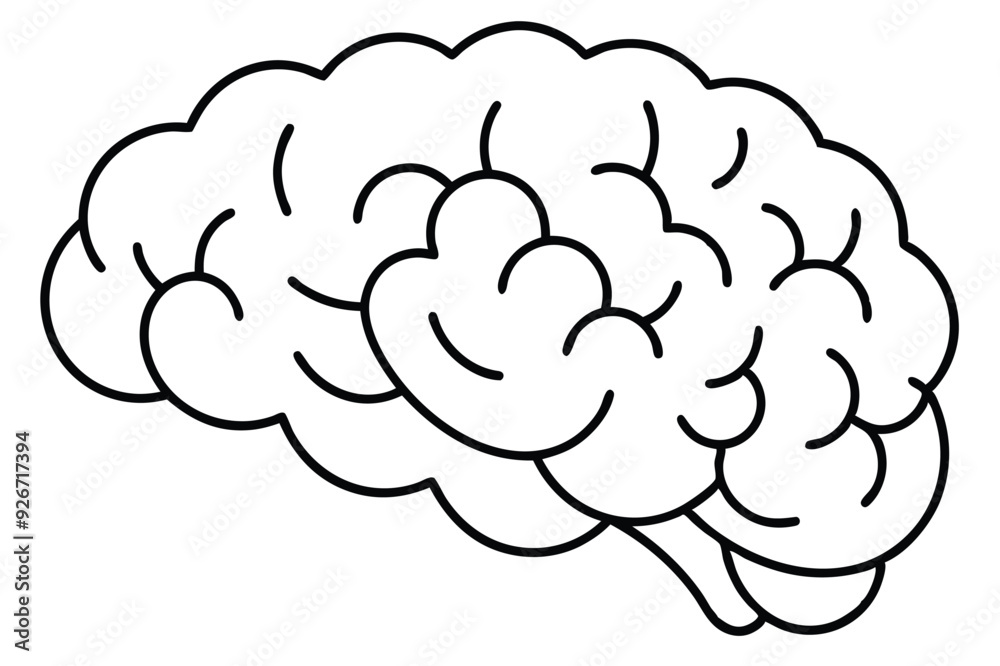 Wall mural Brain line illustration mind vector 