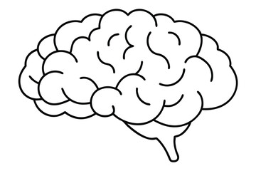 Brain line illustration mind vector 