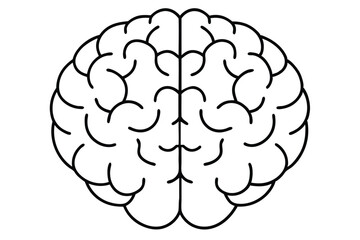 Brain line illustration mind vector 
