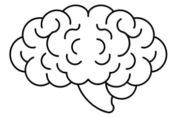 Brain line illustration mind vector 