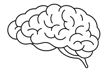 Brain line illustration mind vector 
