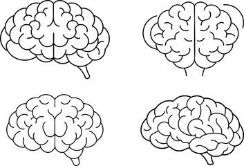 Brain line illustration mind vector 