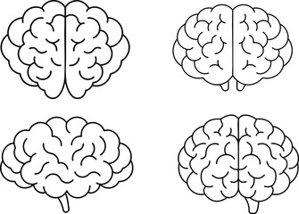 Brain line illustration mind vector 