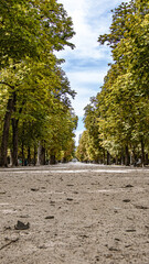 autumn in the park
