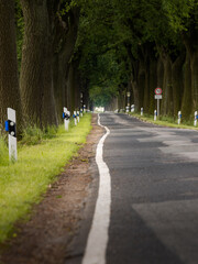 Wiggly road markings in a rural area. Bumpy uneven avenue street in Germany. Countryside infrastructure during summer.