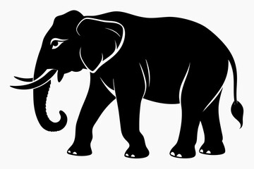 Asian elephant silhouette black vector illustration