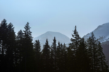 Mount Vihren summit behind fir forest silhouette in winter. Foggy evening in Pirin mountains near Bansko, Bulgaria.