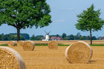 Strohballen und Windm&uuml;hle Stemmer Minden