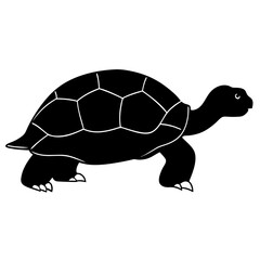 turtle  vector silhouette illustration with white background 