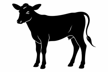  Calf outline silhouette black vector art illustration