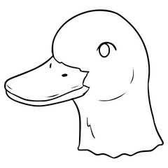 duck head illustration hand drawn outline vector