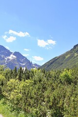 Fototapeta premium high mountains, Tatra Park, green trees, blue sky, natural plants, green corners