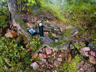 A tree trunk with a cell phone and a compass on it