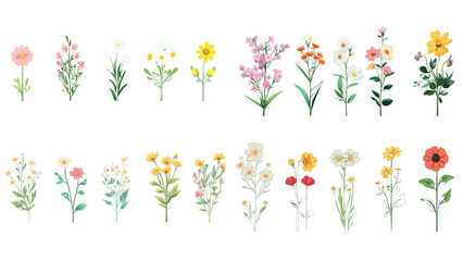Minimalist Floral Illustrations in a Variety of Styles in transparent background
