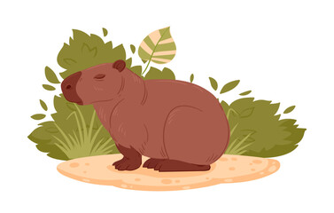 Herbivore capybara. Cartoon wild mammal in natural habitat, cute semi-aquatic animal flat vector illustration. Resting capybara