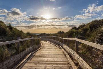 Fototapeta premium A view along a wooden boardwalk leading to the beach, with evening light