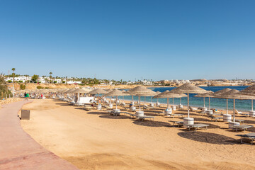 Sunny resort beach with palm tree at the coast shore of Red Sea in Sharm el Sheikh, Sinai, Egypt. Bright sunny light.