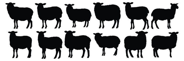 Sheep silhouettes set, pack of vector silhouette design, isolated background
