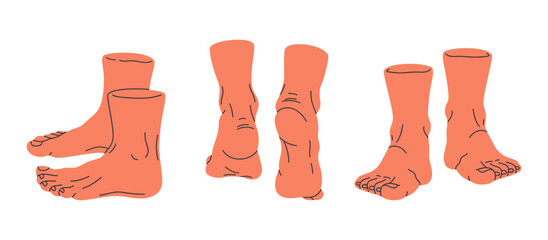 Human barefoot feet. Bare human legs in different poses, back, front, side feet view flat vector illustration set. Walking and standing feet