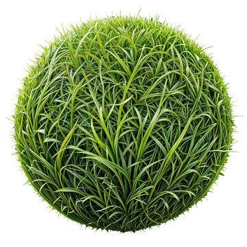 Green ball with grass texture - 3D sphere for eco design, with no bacground | Zielona kula z teksturą trawy - Tr&oacute;jwymiarowa sfera do ekologicznego projektu, bez tła