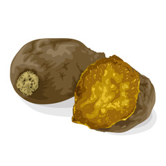 Baked sweet potato vector illustration, isolated on white background.