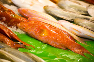  several fresh red mullet fish arranged on an ice bed atop a green surface