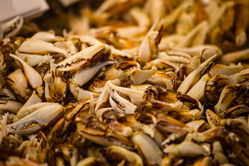 an abundance of stacked fresh crab legs, varying in color from white to brown