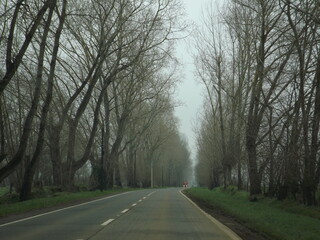 Fototapeta premium Alamos Portal